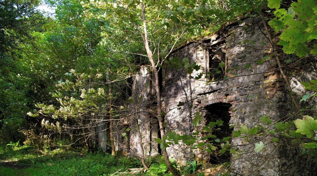 A carriage house on Temple House's Estate, which has ruins on it dating back to the 12th Century.
#InStone #sligo