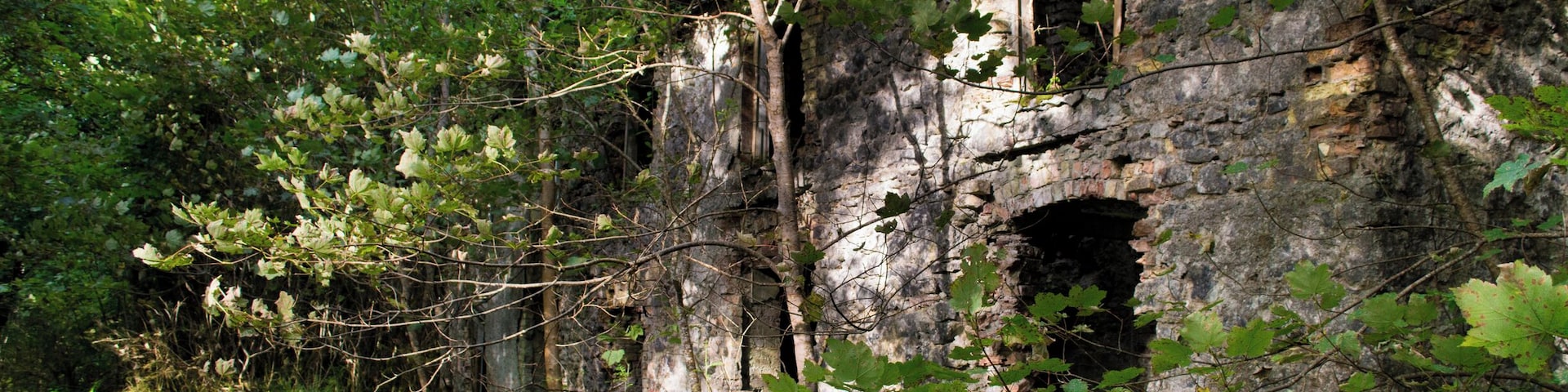 A carriage house on Temple House's Estate, which has ruins on it dating back to the 12th Century.
#InStone #sligo