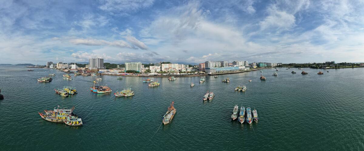 A harbor with numerous boats, a city skyline, and a clear sky.