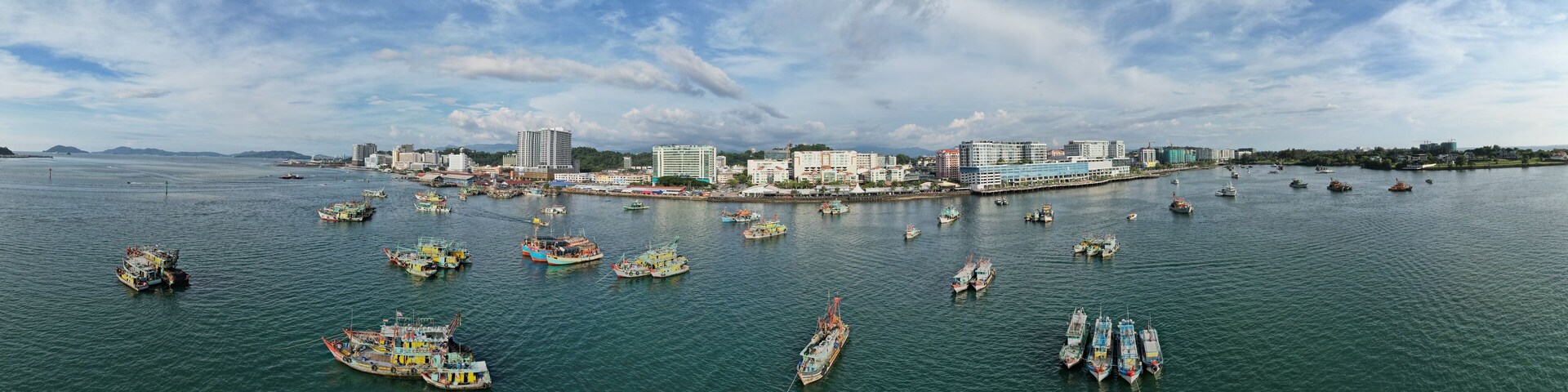 A harbor with numerous boats, a city skyline, and a clear sky.