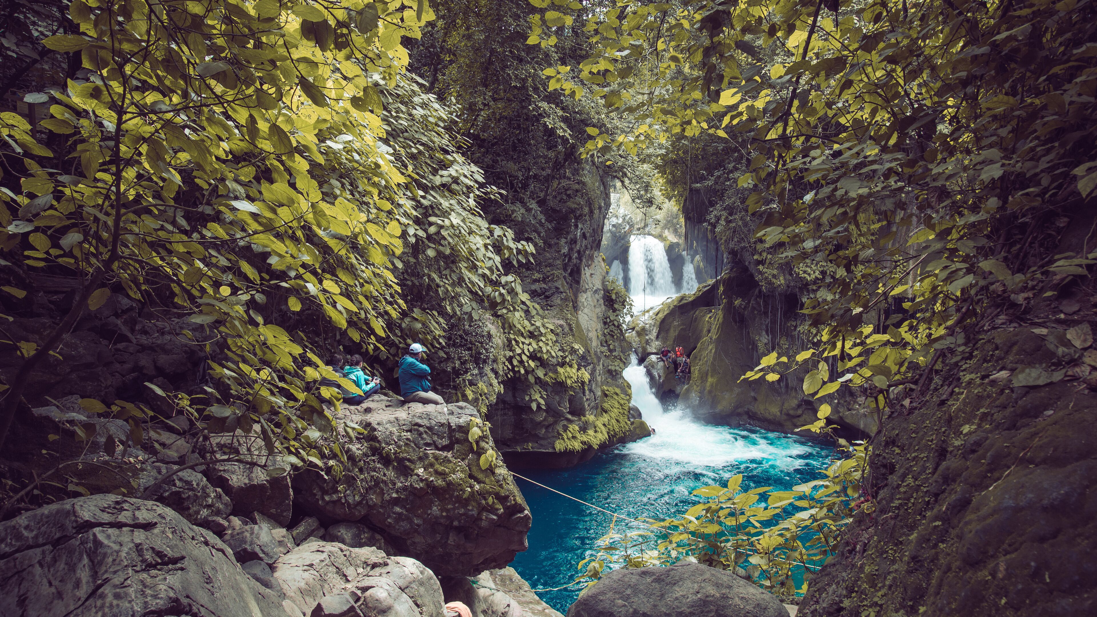 A waterfall in a rocky gorge surrounded by dense foliage.