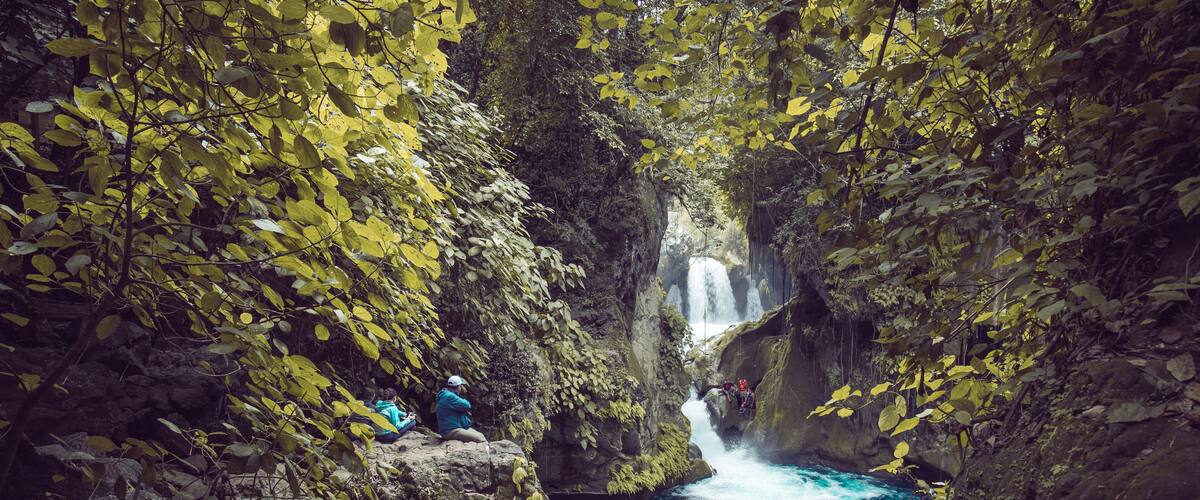 A waterfall in a rocky gorge surrounded by dense foliage.