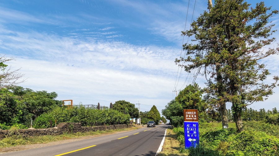 Jeju_MysteriousRoad_553248635205953534-004