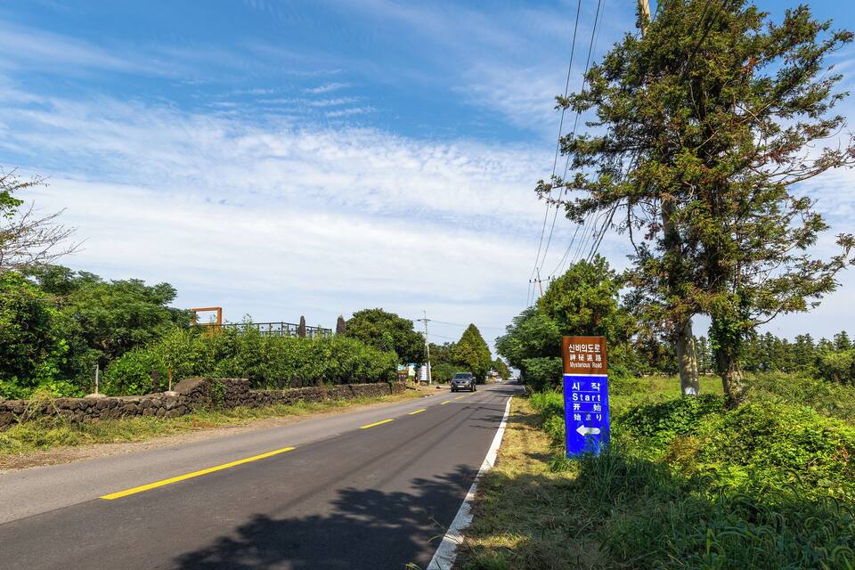 A road with a blue directional sign, surrounded by greenery and trees.