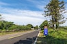 Jeju_MysteriousRoad_553248635205953534-004