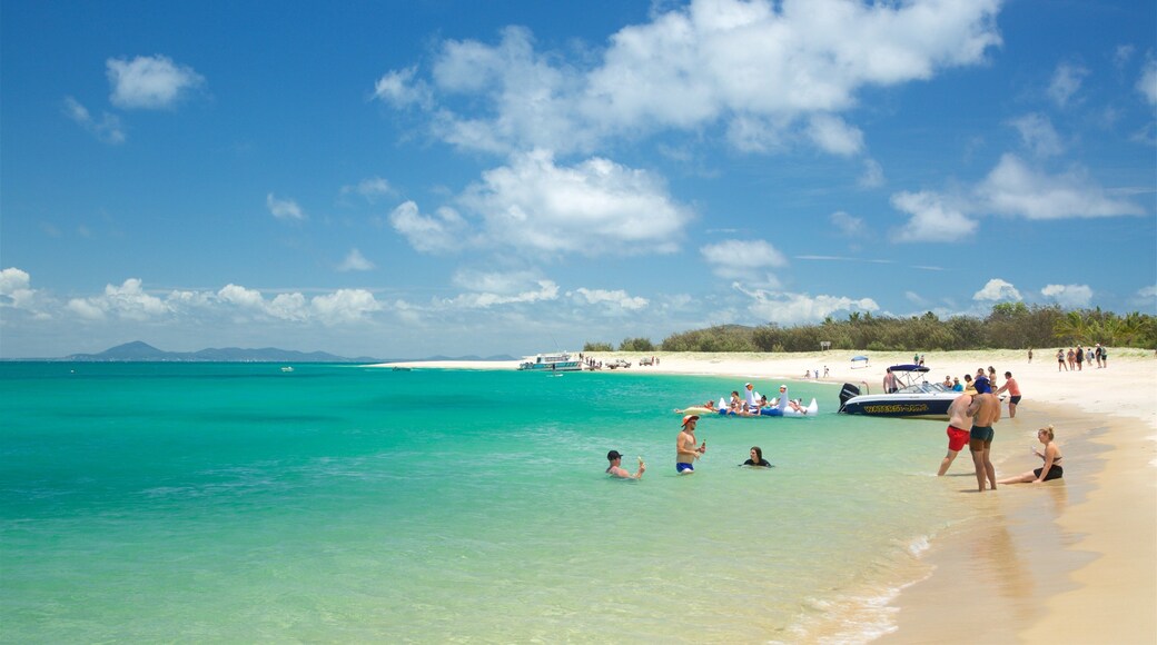The Keppels showing a beach, general coastal views and tropical scenes
