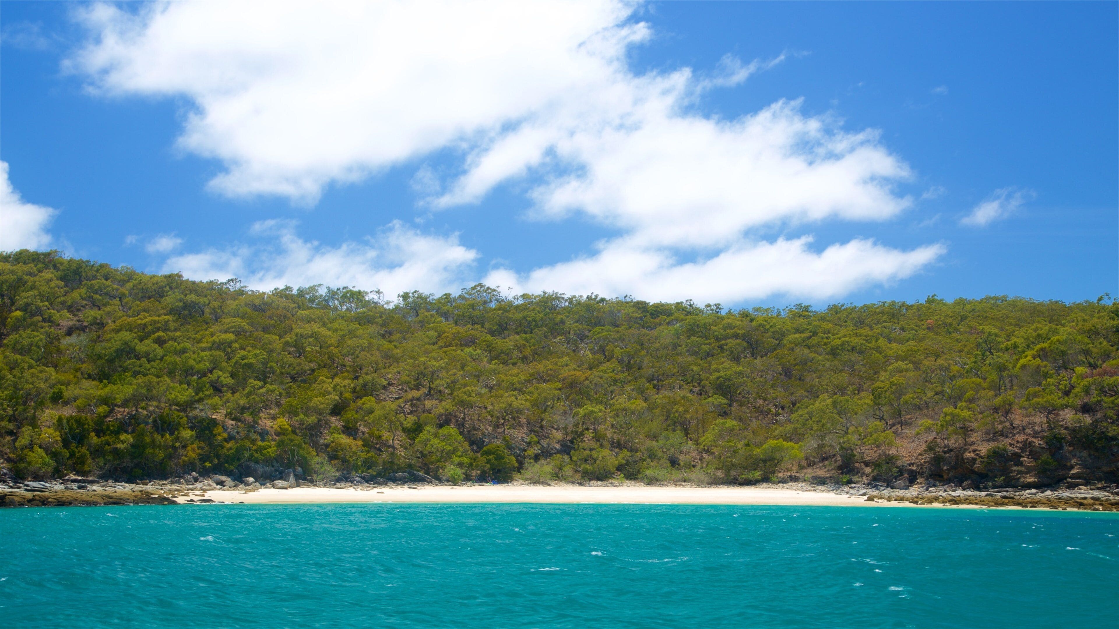 The Keppels showing general coastal views and tropical scenes