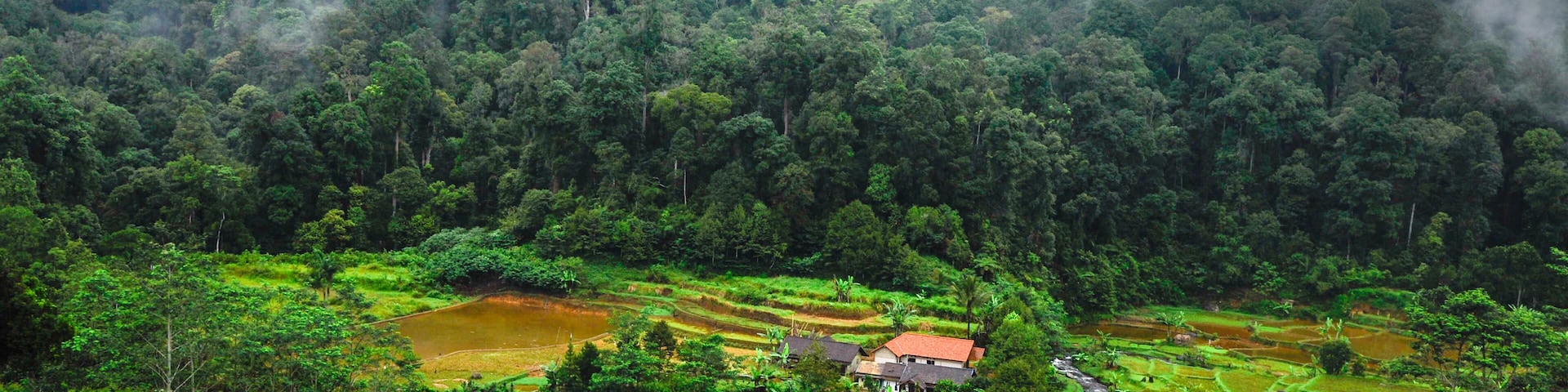 Rural mountain little village in the bottom of the valley with tea plantation and rainforest against overcast sky. Bogor district, west Java