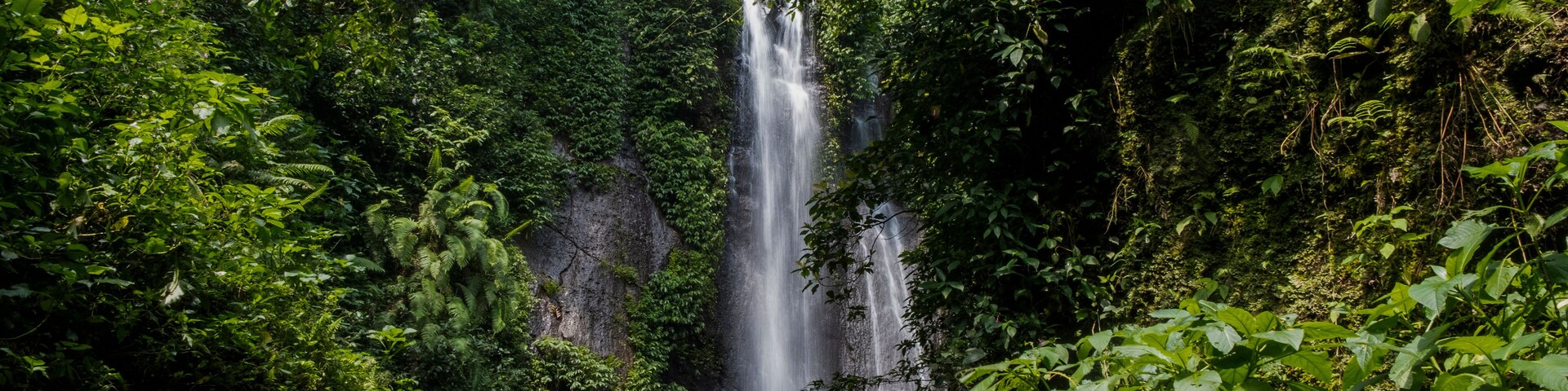 Una cascada rodeada de follaje verde exuberante.
