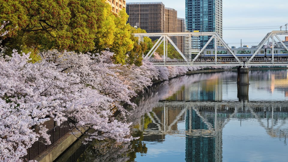 ๅคง้ช็ฐ็ถ็ท ้ข็ฉบๅฟซ้