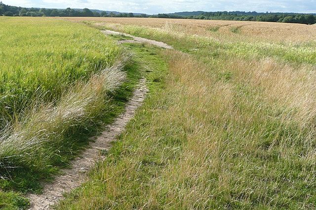 Footpaths across the prairie This is an upland area of arable fields, almost prairie-like, above Sulham Woods. There are a number of footpaths, like this one.