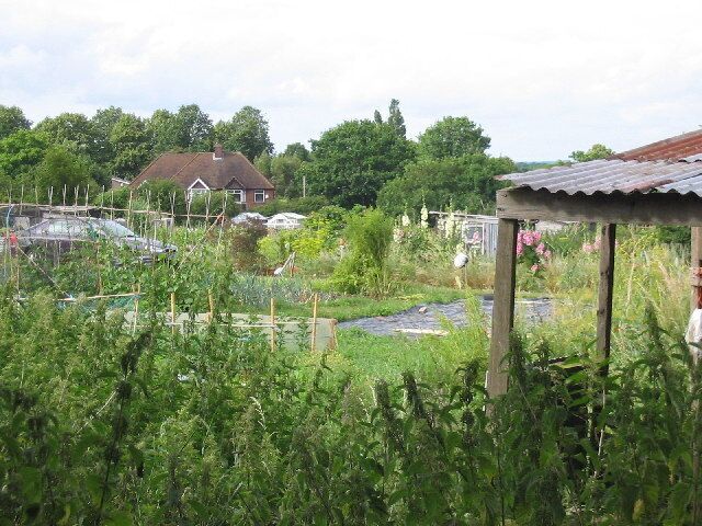 Armour Hill Allotments. This is taken from the Victoria Recreation Ground overlooking the Armour Hill Tilehurst Allotments