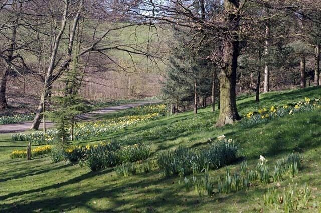A park with a grassy hill, trees, and a path.