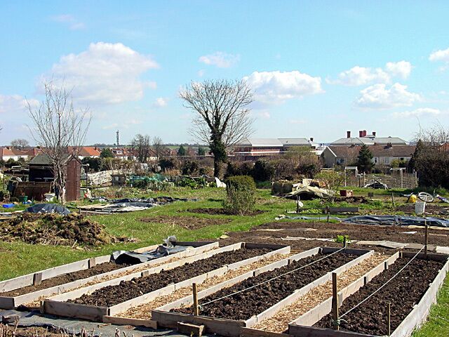 Horfield & District Allotments. This is a large allotment behind Horfield Prison (grey roof). Looking east (Purdown mast can be seen on the skyline).
