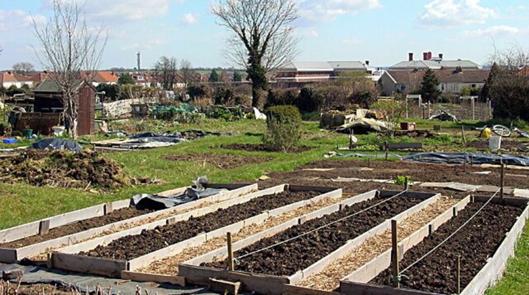 Horfield & District Allotments. This is a large allotment behind Horfield Prison (grey roof). Looking east (Purdown mast can be seen on the skyline).