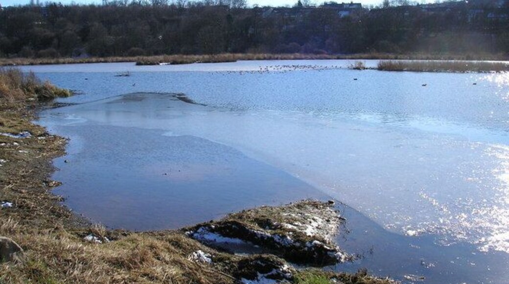 Rodley Nature Reserve. A former sewage treatment works, this reserve has been designed to provide a wetland habitat for migrating waders and wildfowl. The habitat at the time of the picture was more suitable for skaters than waders.