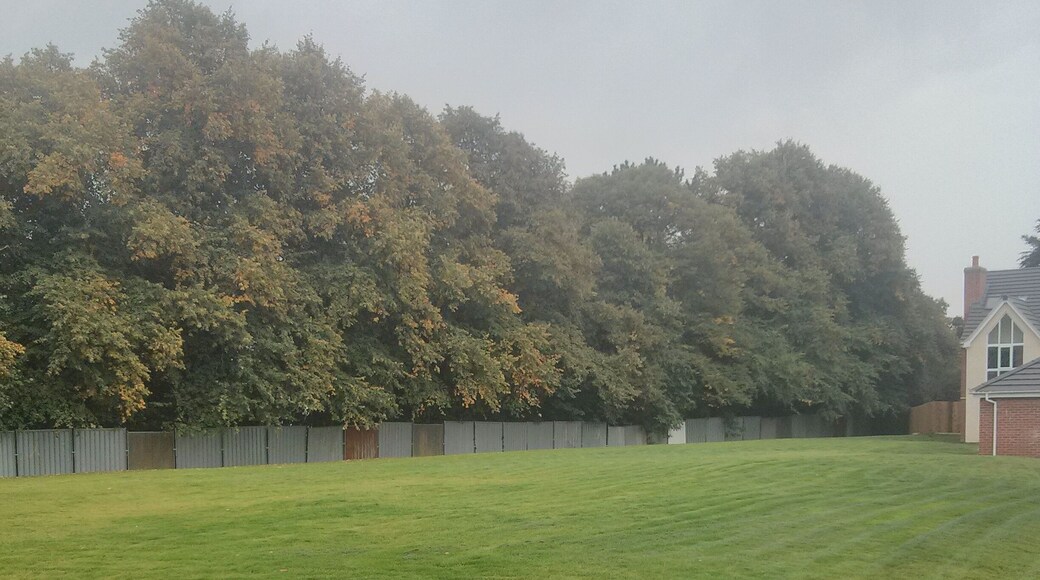 Section of Rykneld Street Roman road and remains of Bronze Age cemetery at Littleover - today it is lawned over and is an island in a development of new houses. Wikidata has entry Q17663256 with data related to this monument.