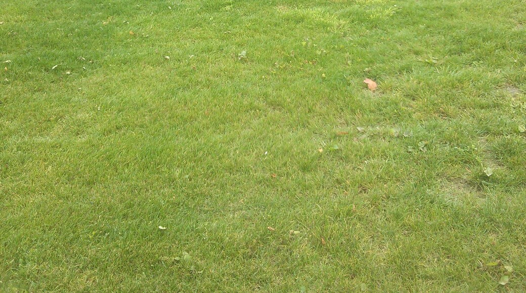 Section of Rykneld Street Roman road and remains of Bronze Age cemetery at Littleover - today it is lawned over and is an island in a development of new houses. Wikidata has entry Q17663256 with data related to this monument.