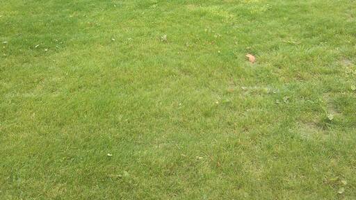 Section of Rykneld Street Roman road and remains of Bronze Age cemetery at Littleover - today it is lawned over and is an island in a development of new houses. Wikidata has entry Q17663256 with data related to this monument.