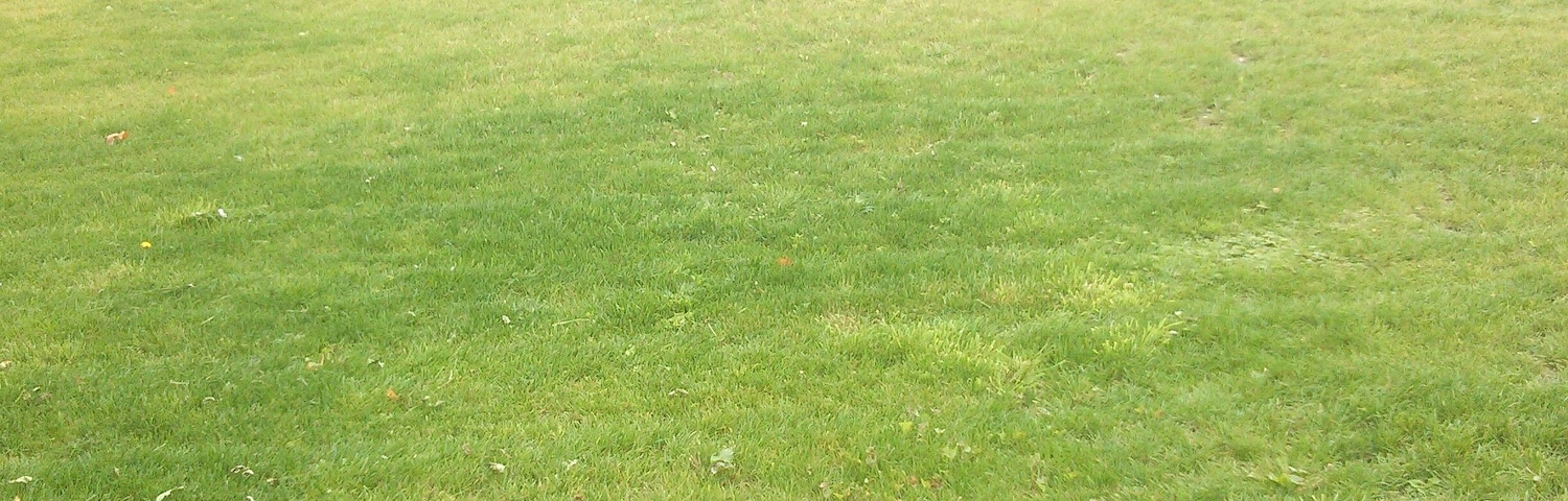 Section of Rykneld Street Roman road and remains of Bronze Age cemetery at Littleover - today it is lawned over and is an island in a development of new houses. Wikidata has entry Q17663256 with data related to this monument.