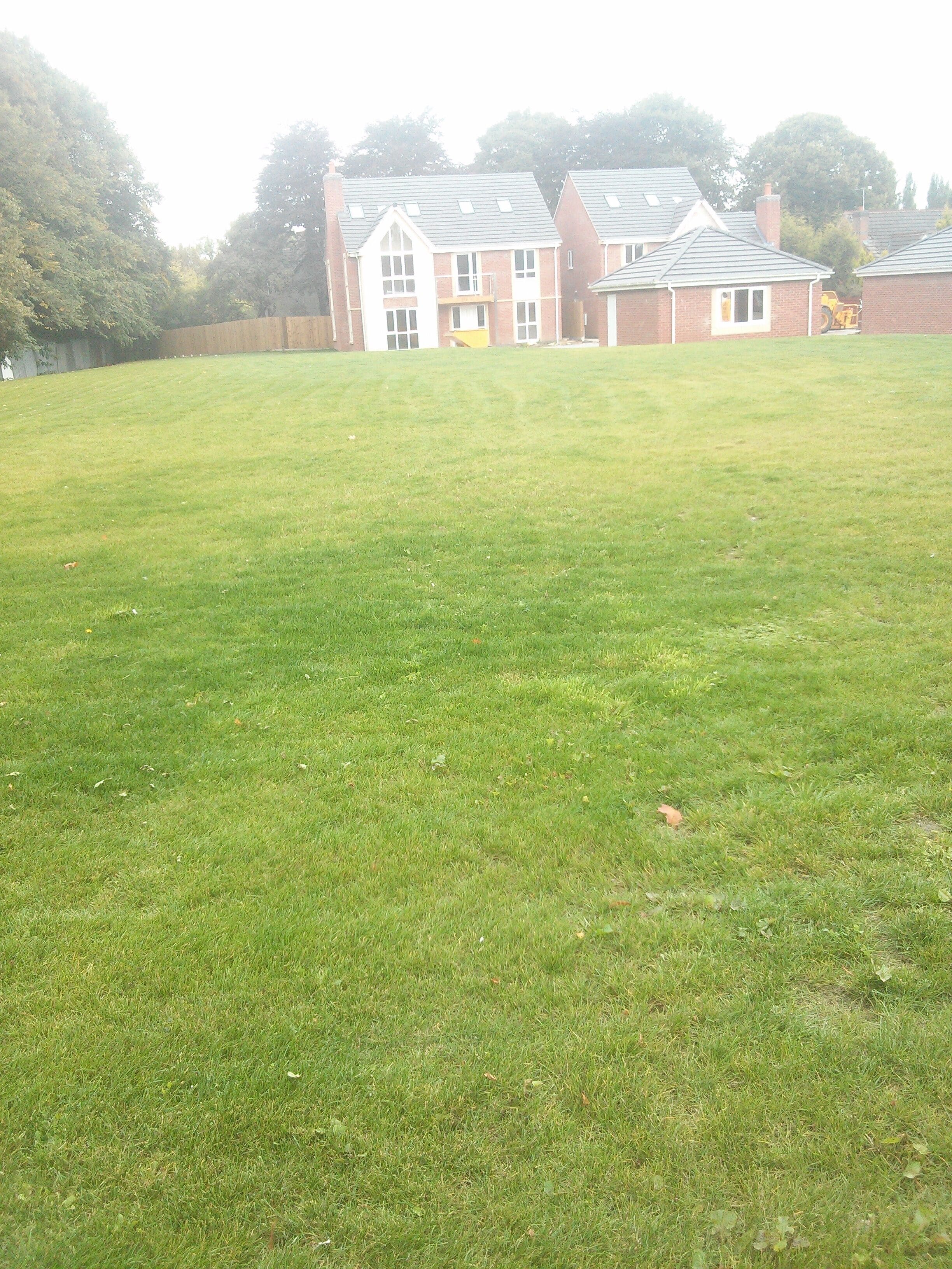 A grassy field with a row of houses in the background.