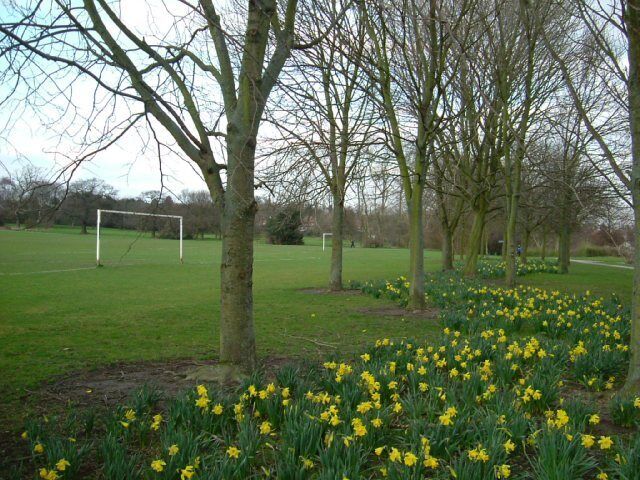 Clemson's Park Littleover