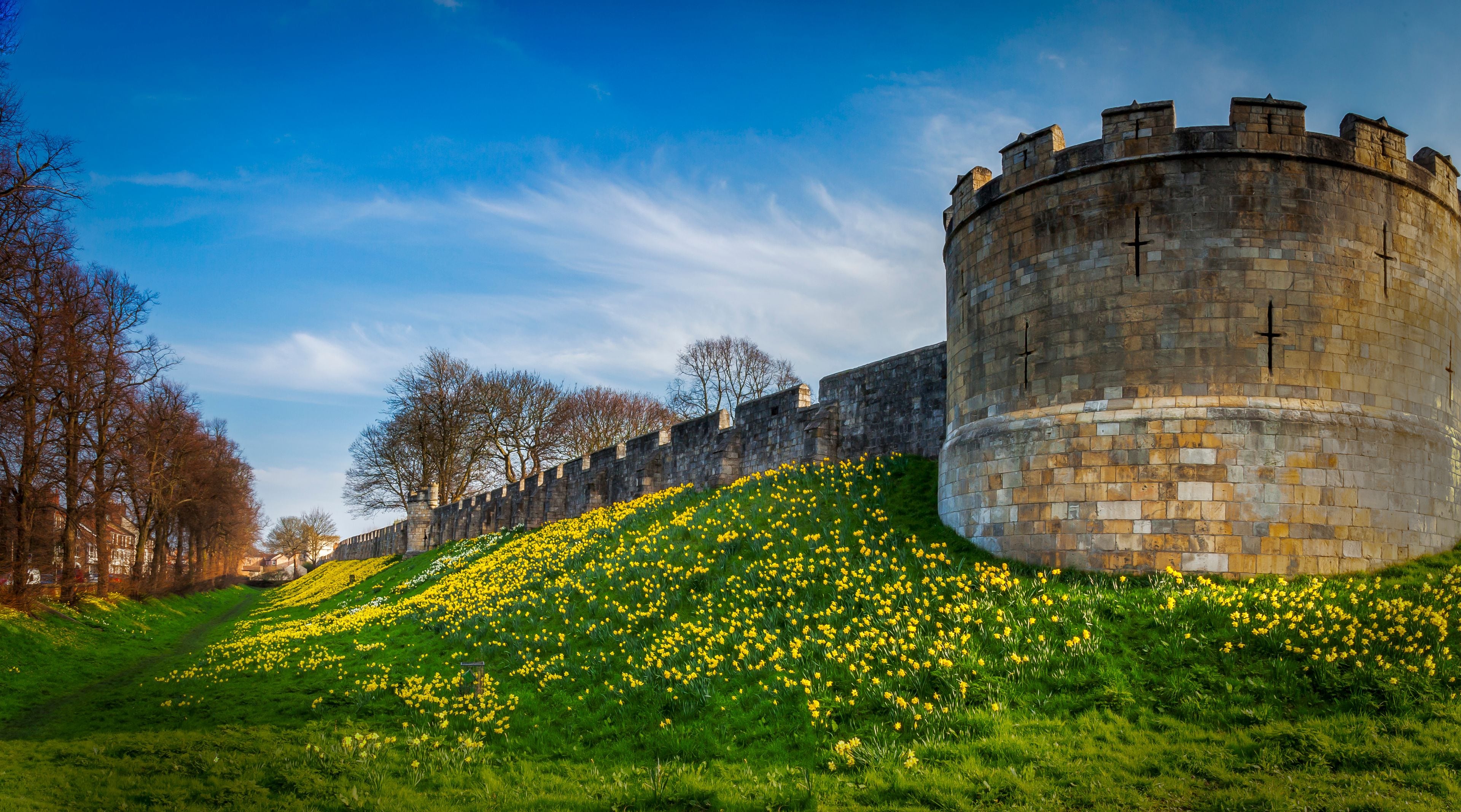 A historic stone castle with a round tower, surrounded by a lush green landscape with yellow flowers.