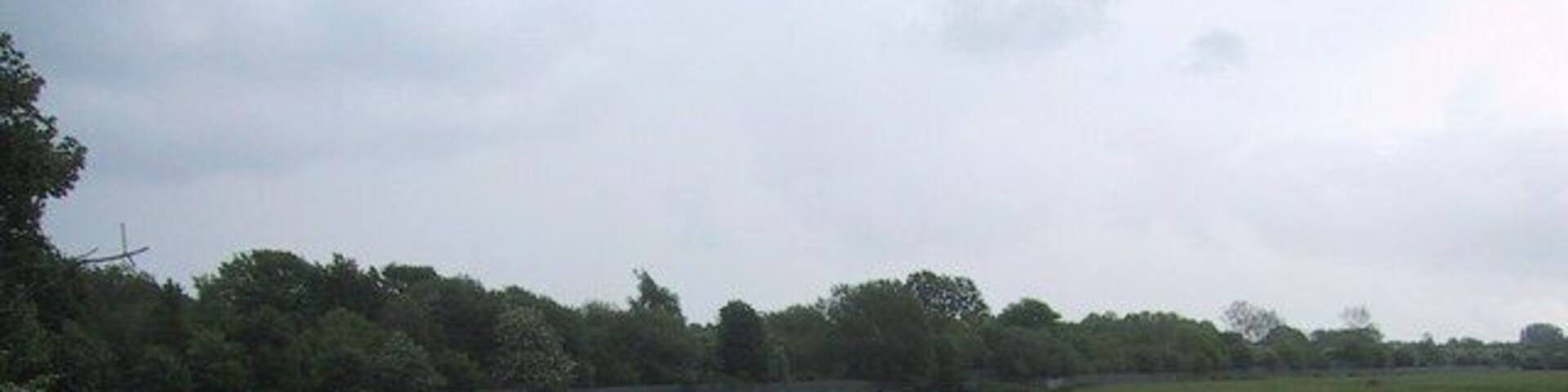 Water on Wolvercote Common