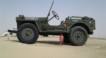 The Emirates National Auto Museum houses a very large collection of cars, including the many Mercedes painted each color of the rainbow.
Included in the collection is also this very large Jeep