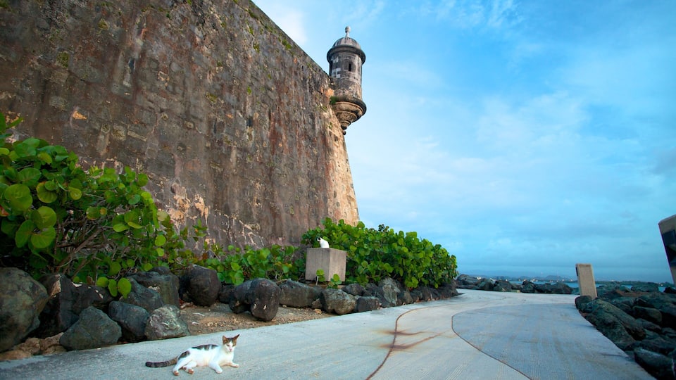 A coastal path with a stone wall and a lighthouse.