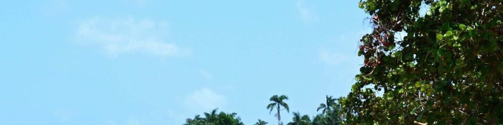 Would you like to have your summer house in Jamaica?