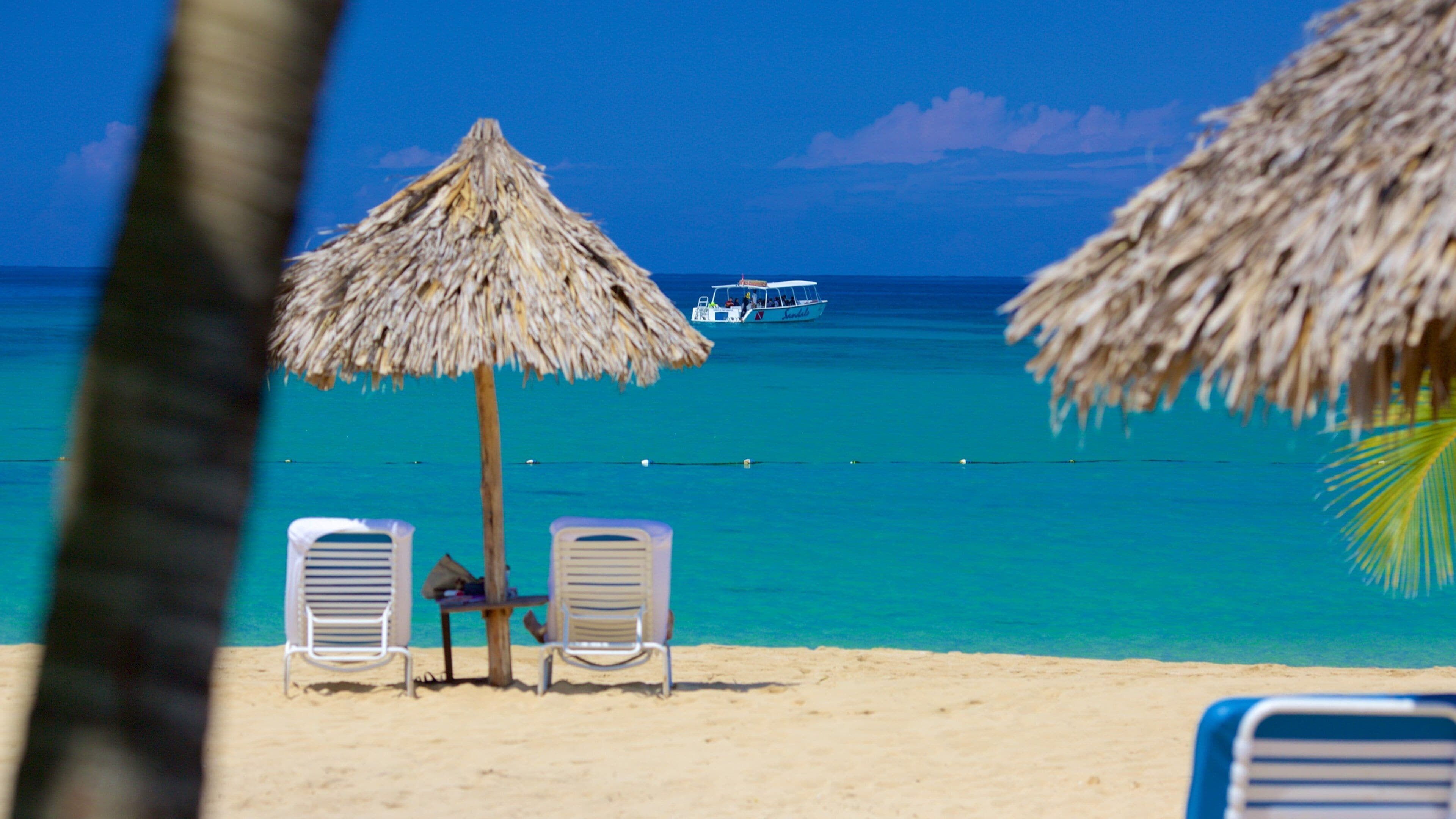 Ocho Rios featuring tropical scenes, a luxury hotel or resort and general coastal views