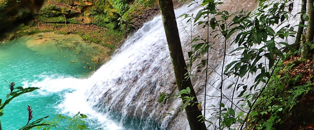 A waterfall cascading into a turquoise pool surrounded by lush greenery.