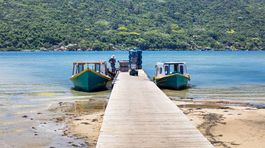 Dois barcos e pier de madeira