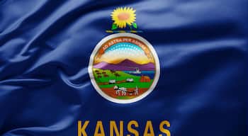 The state flag of Kansas with a central emblem featuring a sunflower, a landscape with cattle, and the state name 'KANSAS' at the bottom.