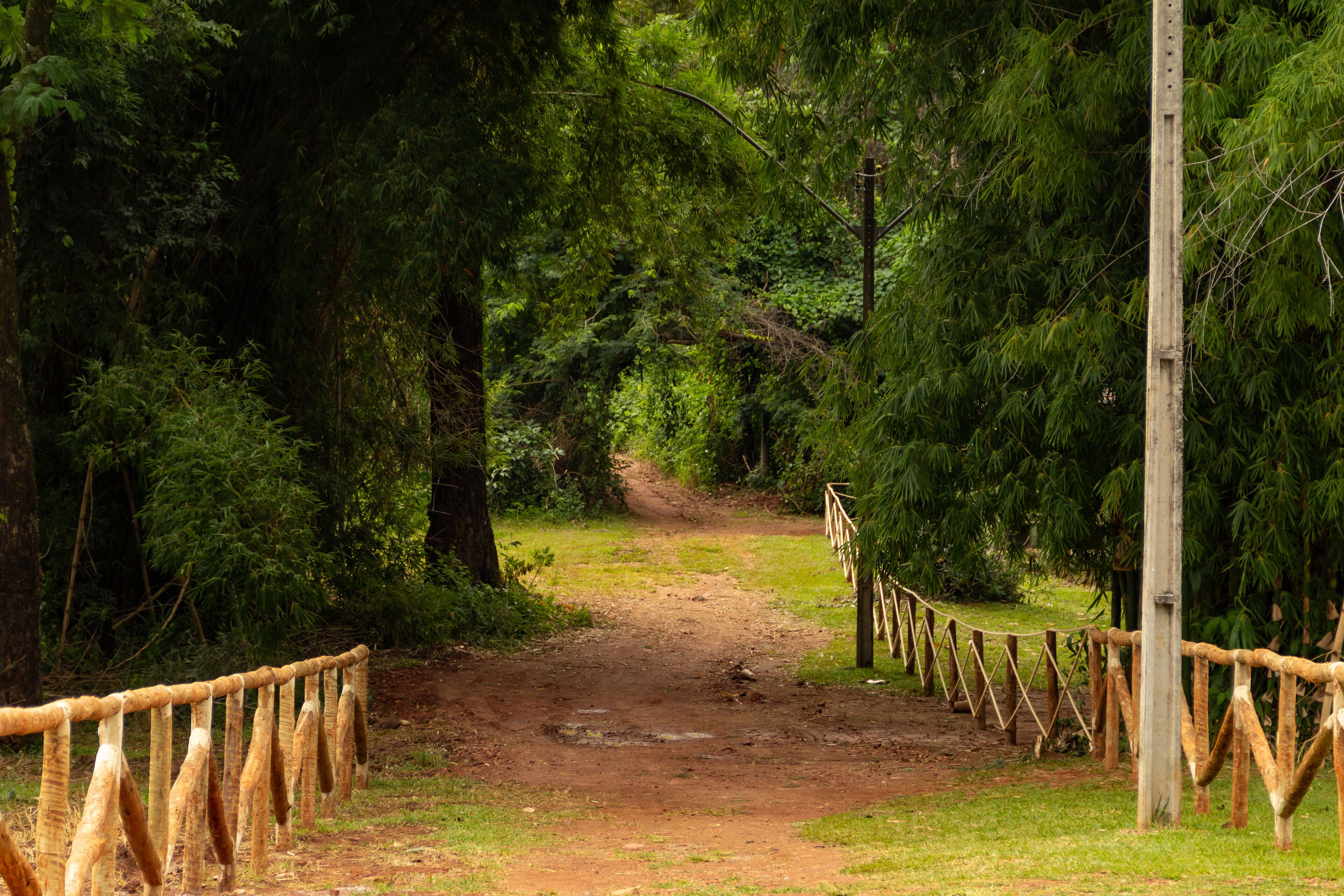 戈亞斯州雅爾丁