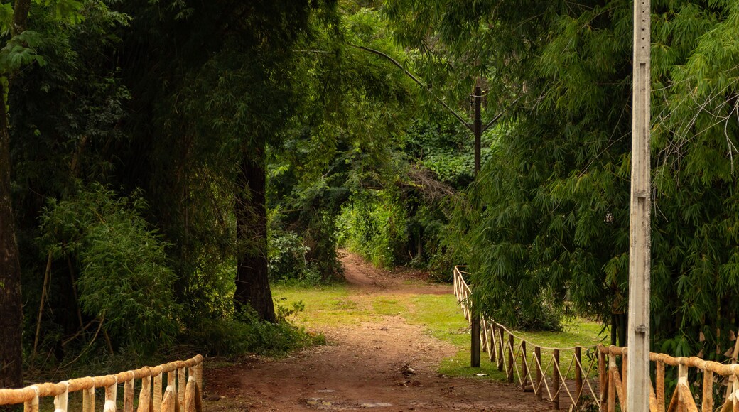 Uma vista do Jardim Botânico muito verde e arborizado na cidade de Goiânia em Goiás.