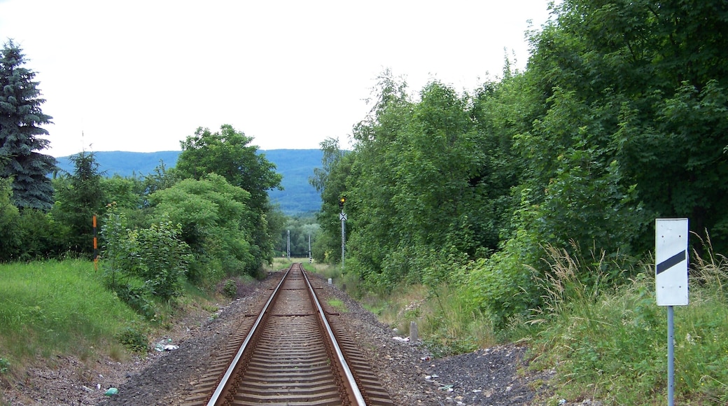 Teplice-Řetenice, Teplice District, Ústí nad Labem Region, Czech Republic. Duchcovská 88, a railway crossing.