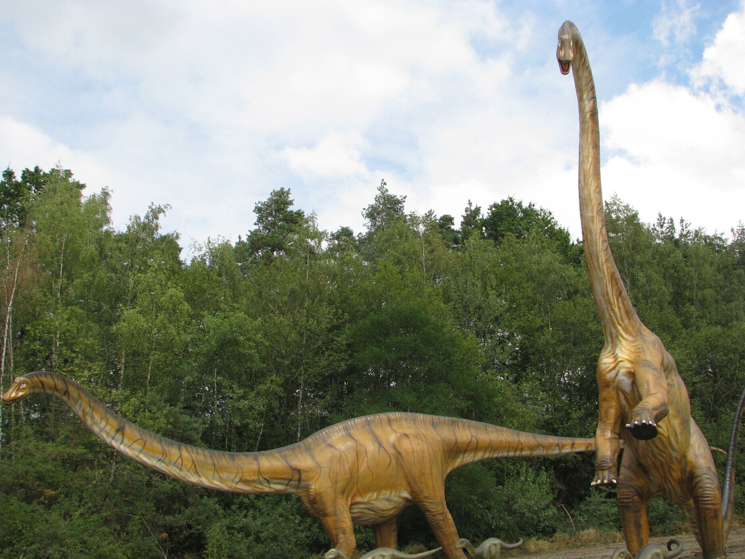 Münchehagen, 31547 Rehburg-Loccum, Germany