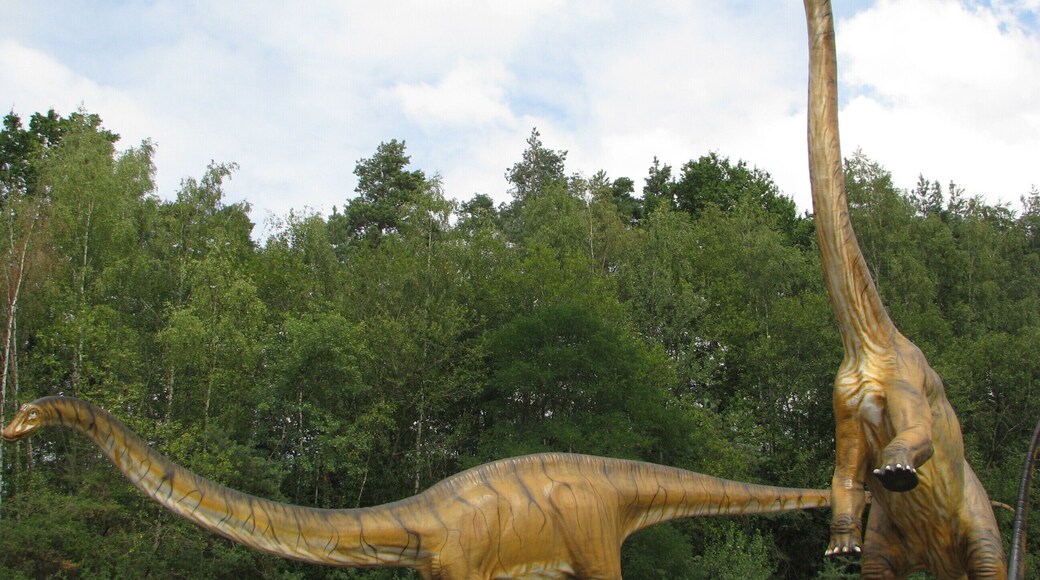 Münchehagen, 31547 Rehburg-Loccum, Germany