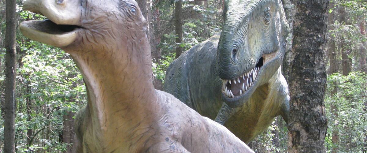 Münchehagen, 31547 Rehburg-Loccum, Germany