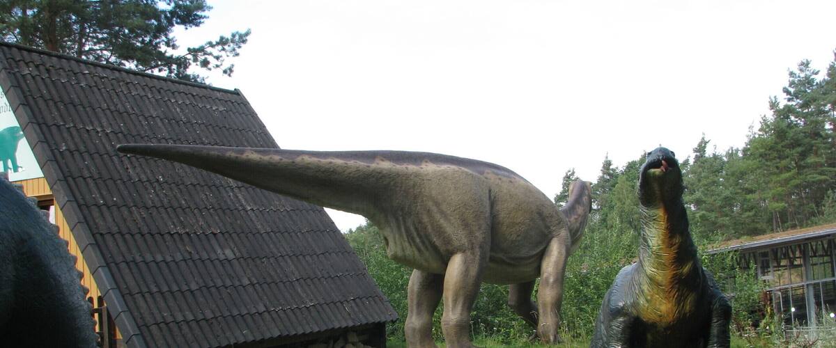 Münchehagen, 31547 Rehburg-Loccum, Germany