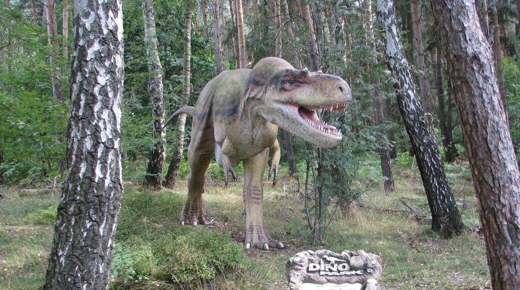 Münchehagen, 31547 Rehburg-Loccum, Germany