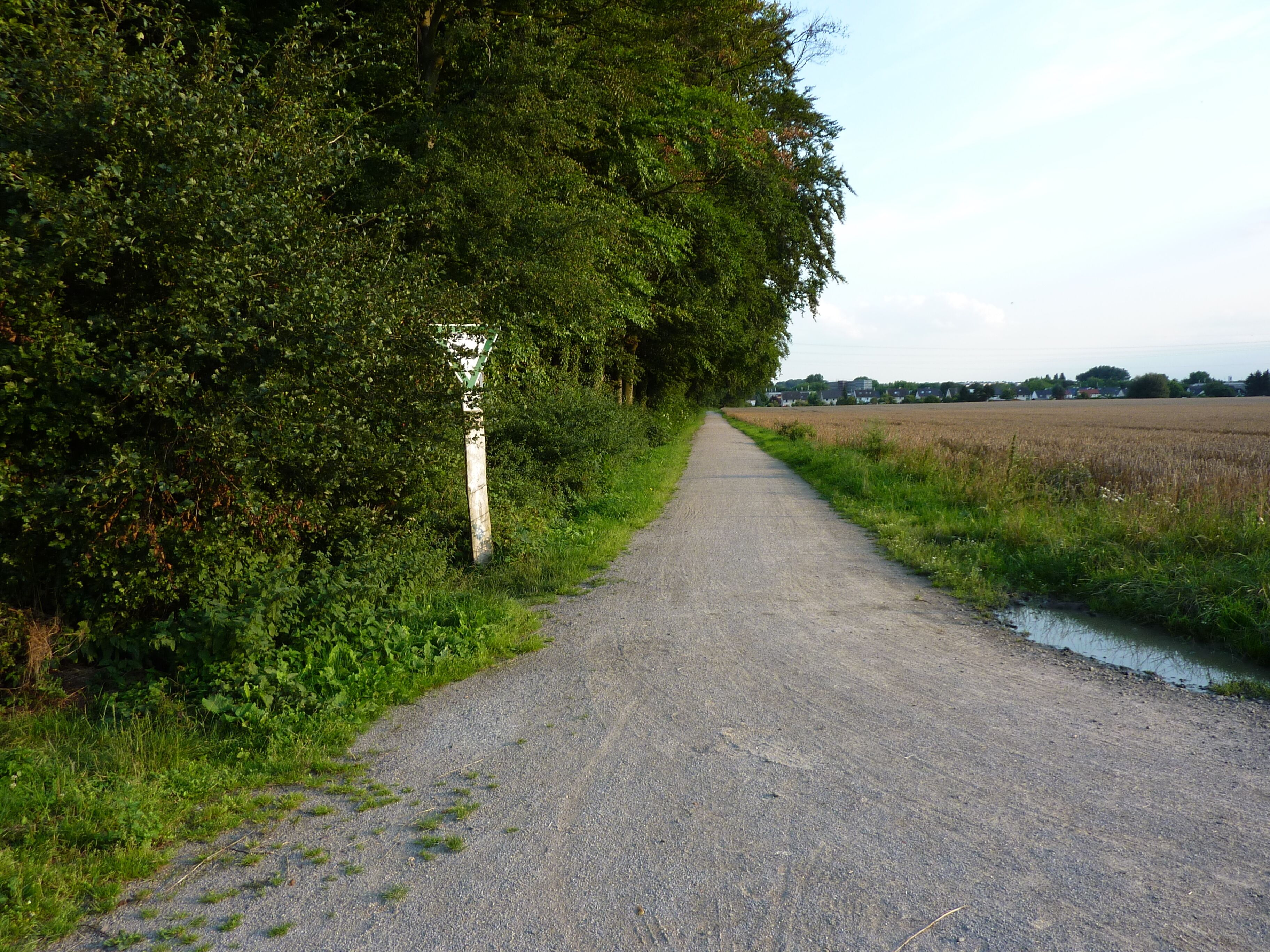 Weg „Alte Märsch“ zwischen dem Naturschutzgebiet „Wickeder Ostholz“ (links) und dem Landschaftsschutzgebiet „Asseln-Wickede“ (rechts) in Dortmund-Wickede; Blick nach Süden