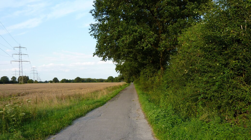 Wirtschaftsweg zwischen Pleckenbrink und Wasserkurler Straße in Dortmund-Wickede, Blick aufs Feld in Richtung Wasserkurl; Landschaftsschutzgebiet „Asseln-Wickede“