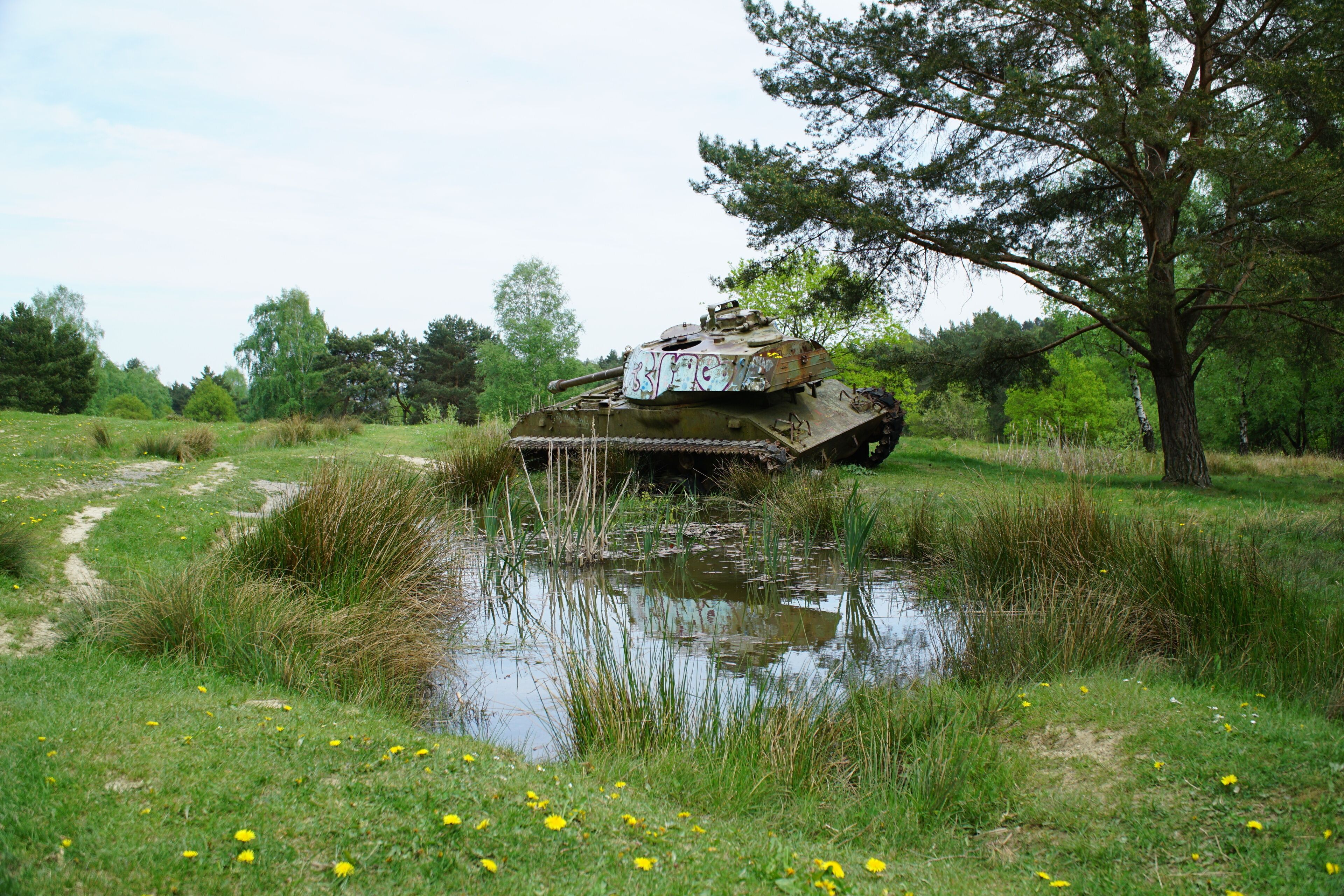 Ausgedienter Panzer im Naturschutzgebiet „Brander Wald“ (NSG ACS-012) in Aachen. Das Naturschutzgebiet ist auch Standortübungsplatz. Die Fahrspuren bilden „Kleinstgewässer“, in denen wohl seltene und bedrohte Tierarten ihren Lebensraum finden.