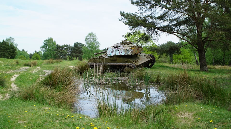 Ausgedienter Panzer im Naturschutzgebiet „Brander Wald“ (NSG ACS-012) in Aachen. Das Naturschutzgebiet ist auch Standortübungsplatz. Die Fahrspuren bilden „Kleinstgewässer“, in denen wohl seltene und bedrohte Tierarten ihren Lebensraum finden.