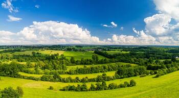 Landscape in Aachen Brand