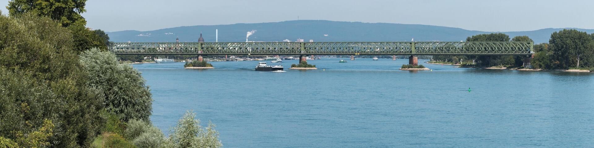 Südbrücke in Mainz