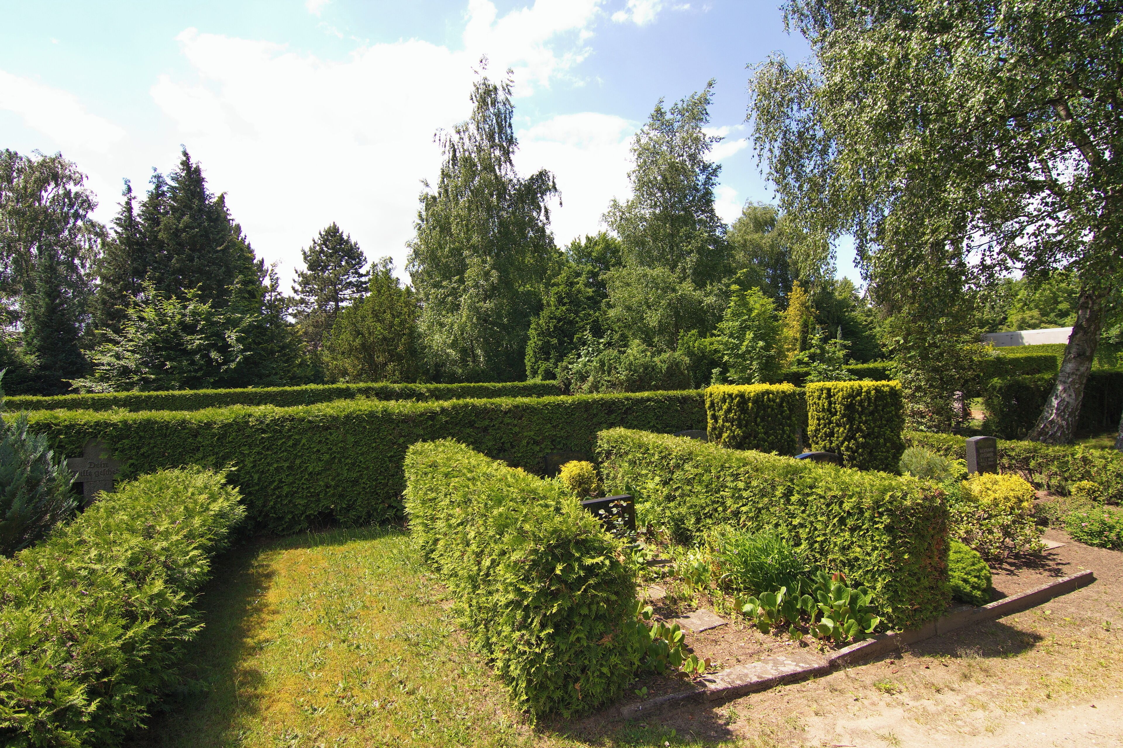 A well-maintained garden with neatly trimmed hedges and a variety of trees.